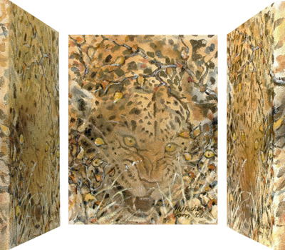 Bild Verschwindender Leopard von Uli Aschenborn